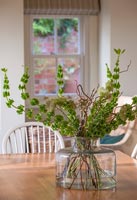 Vase of Bells of Ireland flowers on dining table