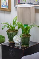 Ferns in green pots