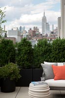 Roof terrace with city views