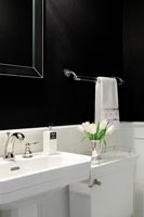 Monochrome bathroom detail