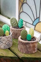 Colourful cactus ornaments