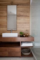 Modern bathroom sink with wooden cabinets