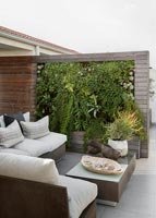 Roof terrace with living wall