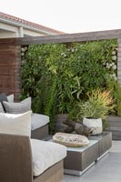 Roof terrace with living wall