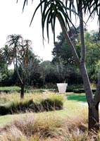 Garden with tropical trees