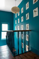 Ornithological prints on stair walls