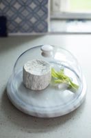 Piece of cheese under glass dome