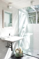 Modern sink and shower cubicle