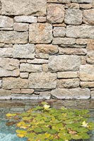 Stone wall and pool with waterlilies