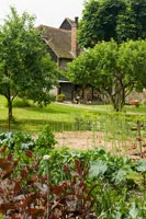 Vegetable patch in country garden