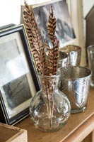 Pheasant feathers in glass vase