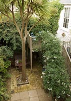 View of courtyard garden from above