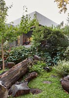 Contemporary house and wild garden