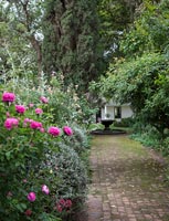 Garden borders with Roses