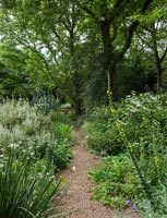 Path through garden borders