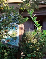 Plants beside house entrance