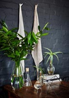 Houseplants and flowers on dining table