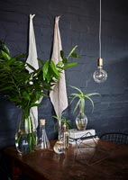 Houseplants and flowers on dining table