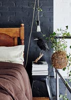 Stuffed crow beside bed