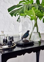 Stuffed blackbird under glass dome