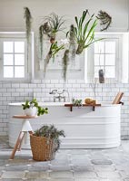 Houseplants around bath