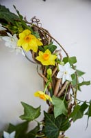 Wreath with Narcissus flowers and Ivy foliage