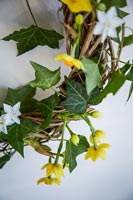 Wreath with Narcissus flowers and Ivy foliage