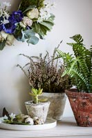 Floral display with Heather, Ferns and succulents in pots