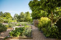 Country garden with vegetable plot