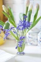 Vase of Bluebells and Tulips