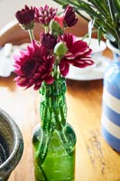 Bottle of Chrysanthemum flowers on kitchen table
