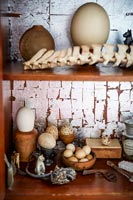 Detail of wooden shelves displaying antique eggs and bones