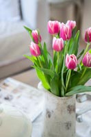 Tulips in a jug