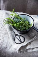 Detail of herbs in a bowl and scissors