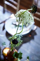Detail of flower at place setting on a decorated table