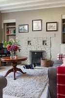 Pet dog in classic country living room
