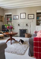 Pet dog in classic country living room