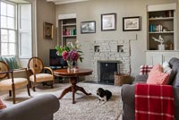 Classic country living room with pet dog