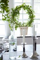 Classic dining room with foliage deocration