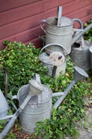 Detail of watering cans
