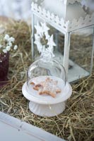 Detail of miniature biscuit in glass dome