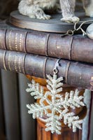 Detail of vintage books and star decoration below stuffed rabbit