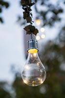 Detail of light bulb hanging in the garden