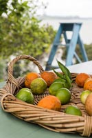 Citrus fruit in a basket