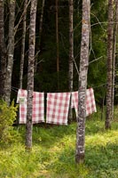 Washing line in the woods