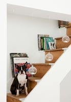 Pet dog on staircase