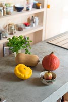 Variety of squashes on concrete kitchen worktop
