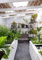 Plants on shelves and in planters