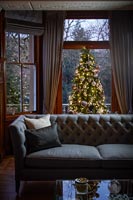 Christmas tree in window of classic living room 