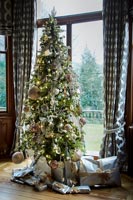 Decorated Christmas tree next to French windows 